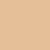 t4option_1