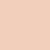 t4option_1